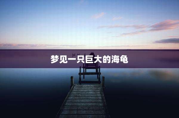 梦见一只巨大的海龟