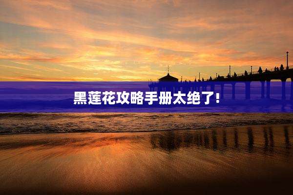 黑莲花攻略手册太绝了!