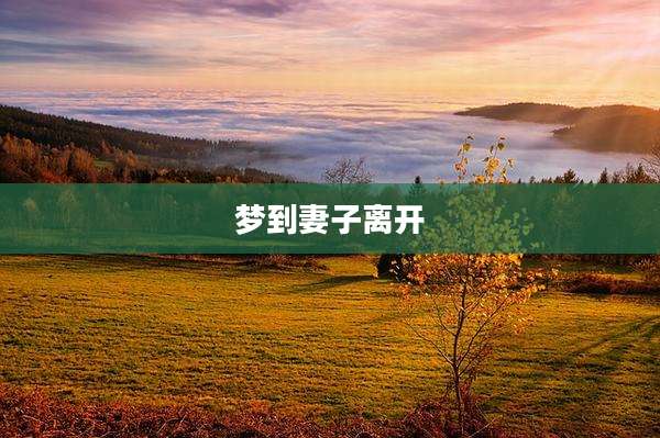 梦到妻子离开