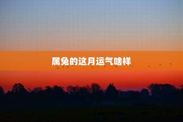 属兔的这月运气啥样