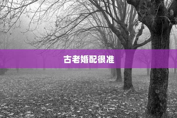 古老婚配很准