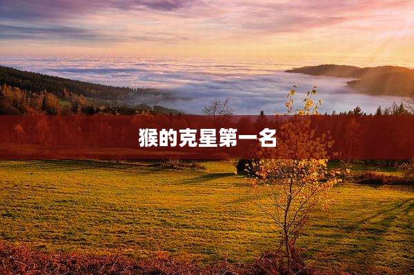 猴的克星第一名