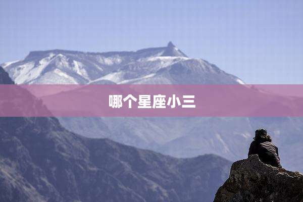 哪个星座小三