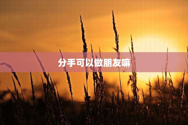 分手可以做朋友嘛