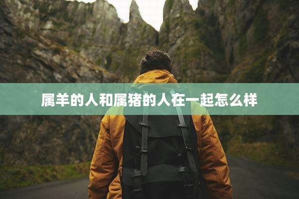 属羊的人和属猪的人在一起怎么样