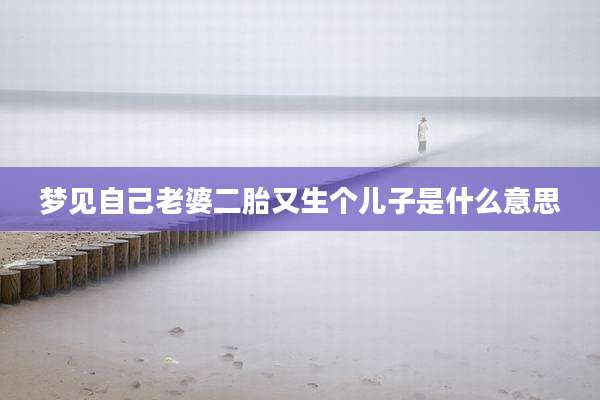 梦见自己老婆二胎又生个儿子是什么意思