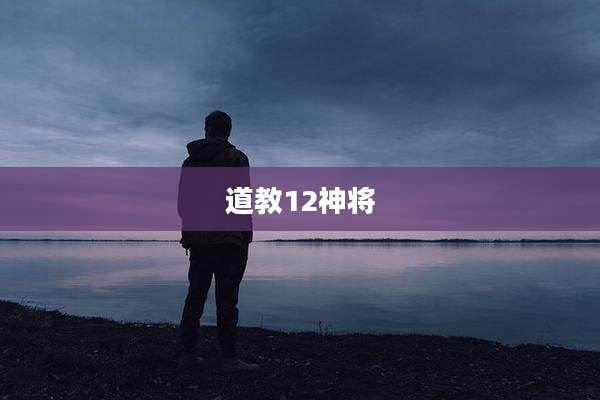 道教12神将