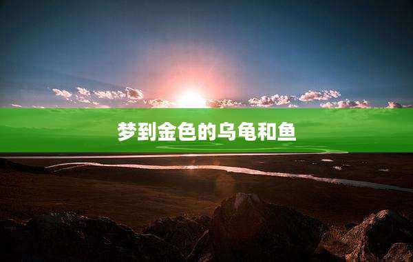 梦到金色的乌龟和鱼