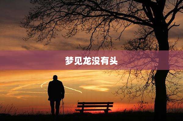 梦见龙没有头