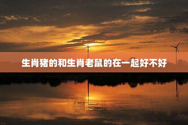 生肖猪的和生肖老鼠的在一起好不好