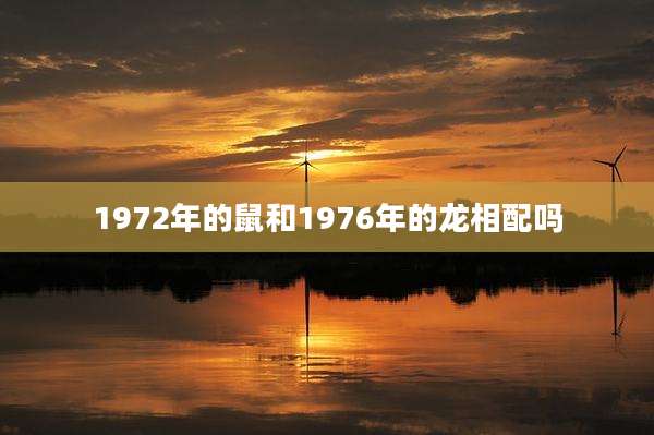 1972年的鼠和1976年的龙相配吗