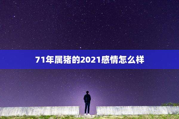 71年属猪的2021感情怎么样