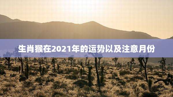 生肖猴在2021年的运势以及注意月份