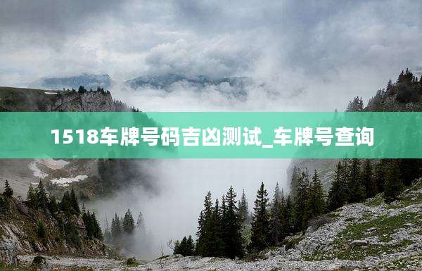 1518车牌号码吉凶测试_车牌号查询