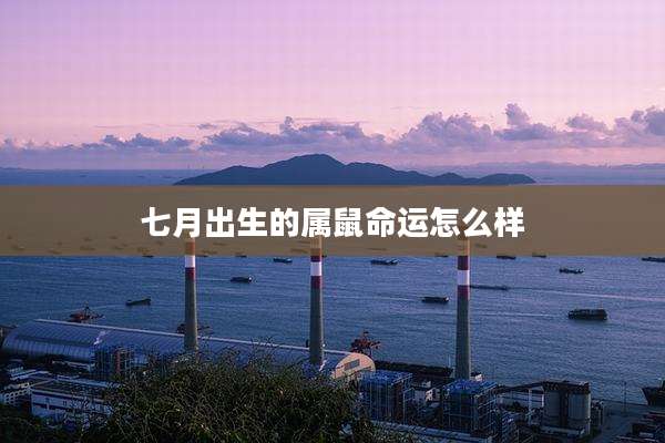 七月出生的属鼠命运怎么样