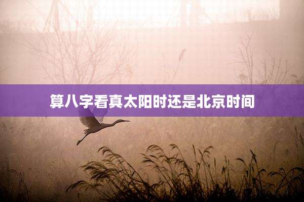 算八字看真太阳时还是北京时间