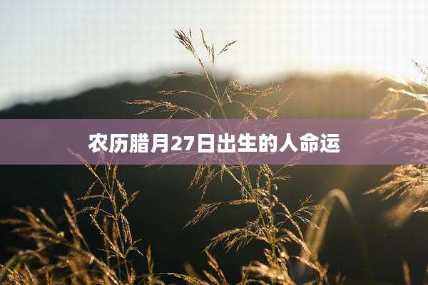农历腊月27日出生的人命运
