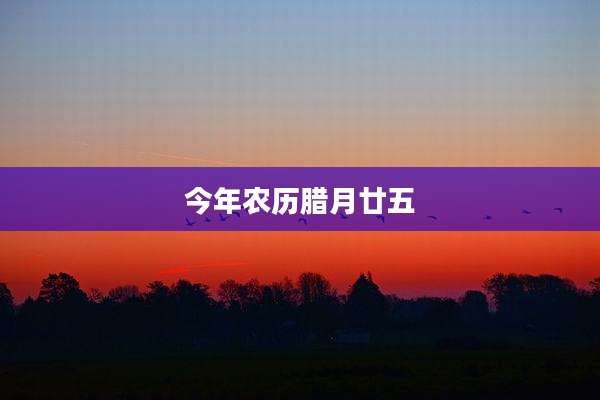 今年农历腊月廿五