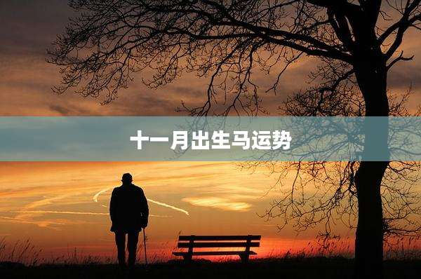 十一月出生马运势
