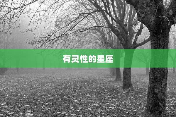 有灵性的星座
