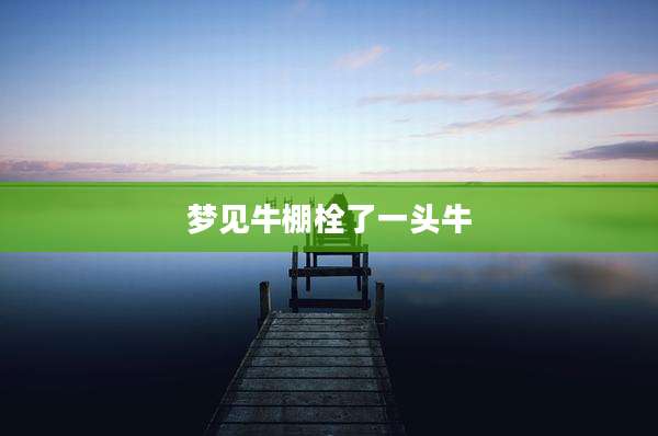 梦见牛棚栓了一头牛