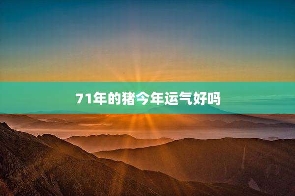 71年的猪今年运气好吗