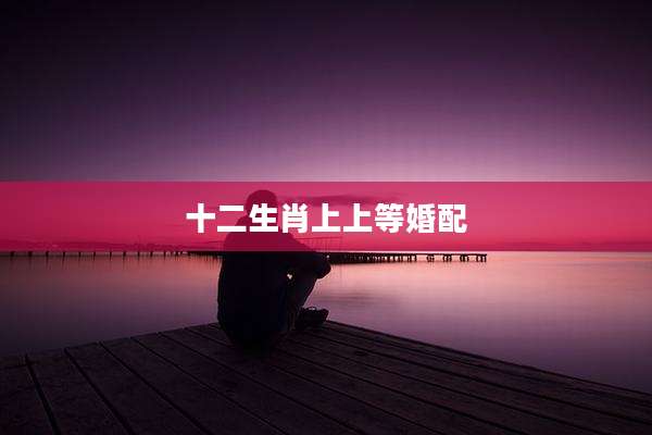 十二生肖上上等婚配