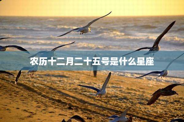 农历十二月二十五号是什么星座