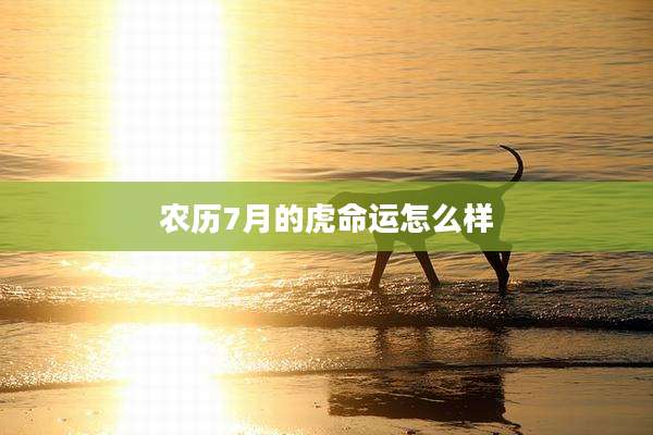 农历7月的虎命运怎么样