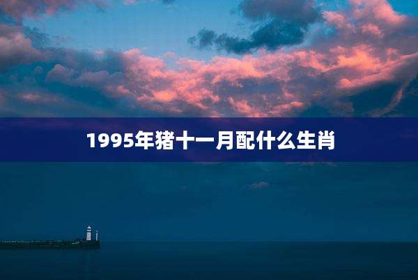 1995年猪十一月配什么生肖