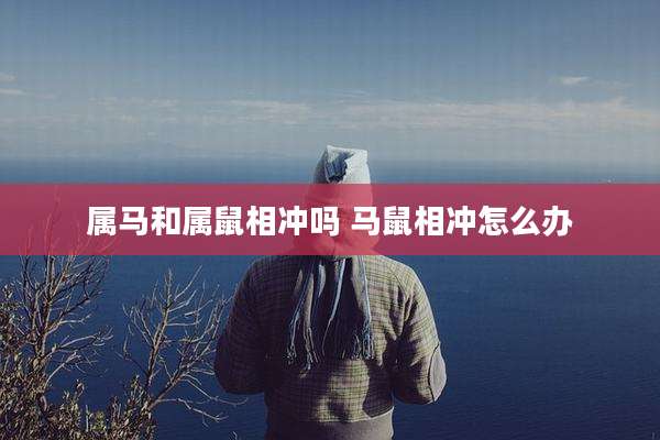 属马和属鼠相冲吗 马鼠相冲怎么办