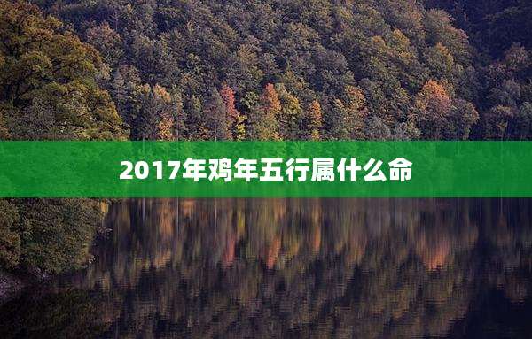 2017年鸡年五行属什么命