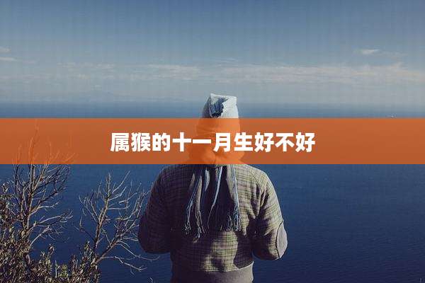 属猴的十一月生好不好