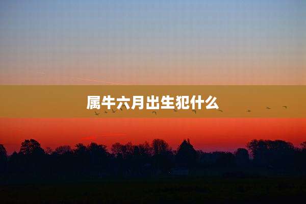 属牛六月出生犯什么