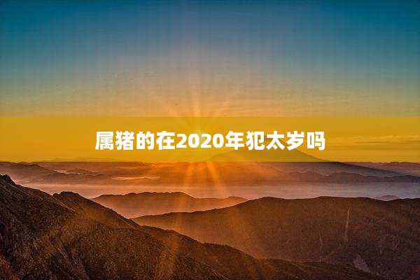属猪的在2020年犯太岁吗
