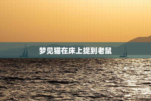 梦见猫在床上捉到老鼠
