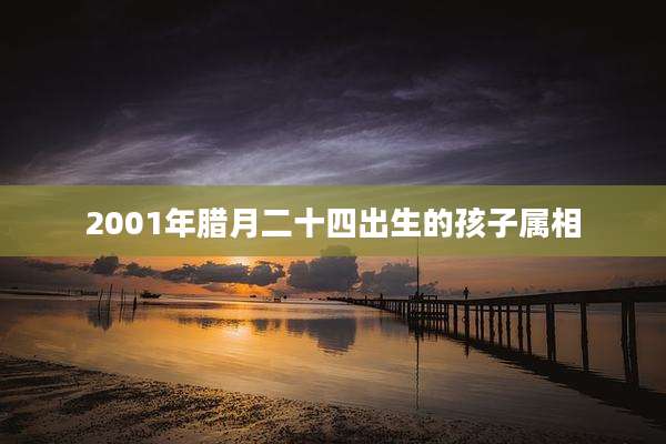 2001年腊月二十四出生的孩子属相