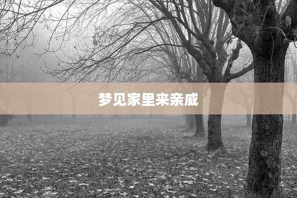 梦见家里来亲威