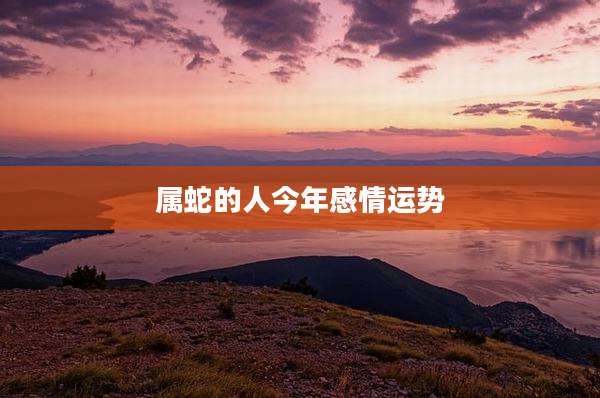 属蛇的人今年感情运势