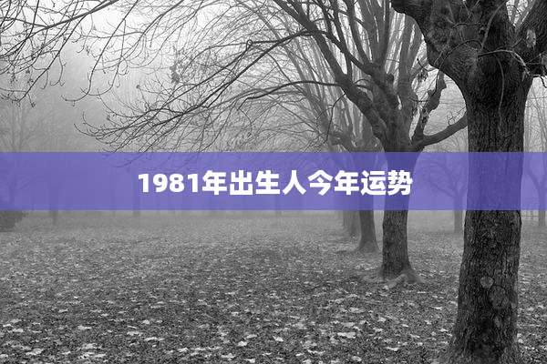 1981年出生人今年运势