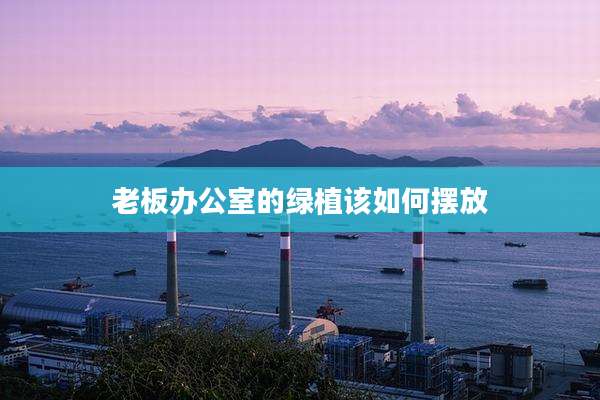 老板办公室的绿植该如何摆放