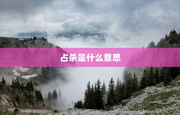 占杀是什么意思