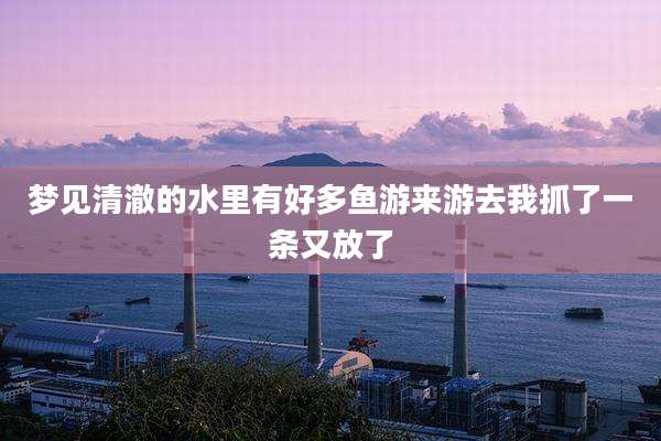 梦见清澈的水里有好多鱼游来游去我抓了一条又放了