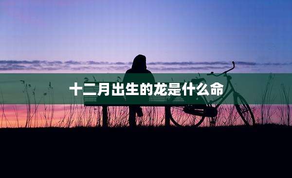 十二月出生的龙是什么命