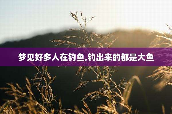 梦见好多人在钓鱼,钓出来的都是大鱼