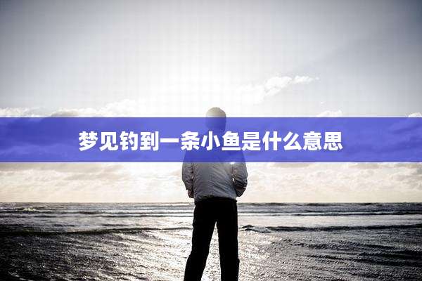 梦见钓到一条小鱼是什么意思
