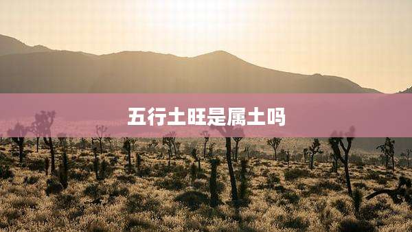 五行土旺是属土吗