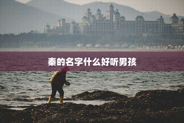 秦的名字什么好听男孩