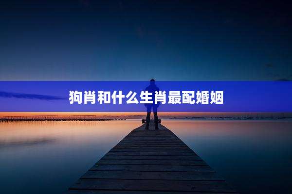 狗肖和什么生肖最配婚姻