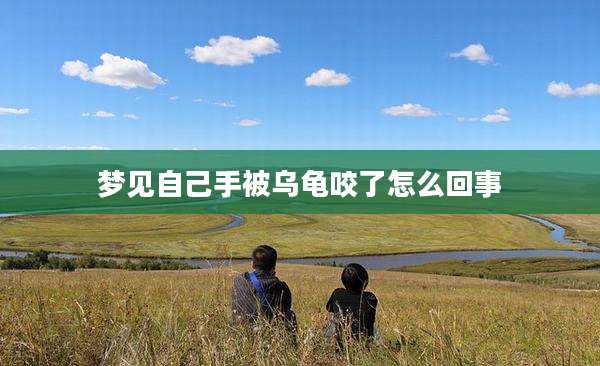 梦见自己手被乌龟咬了怎么回事